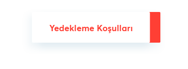Yedekleme.png
